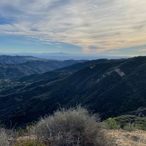 ✨Like this post to get notified on my upcoming Live Shows!:)